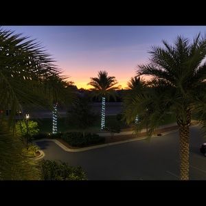 Meet your Posher, Shirley